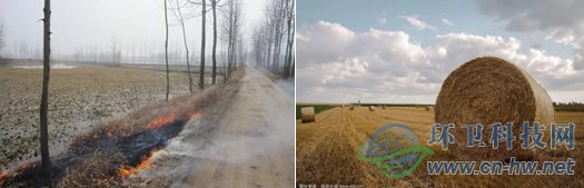 目前，我國(guó)各類秸稈年產(chǎn)量約為10億噸