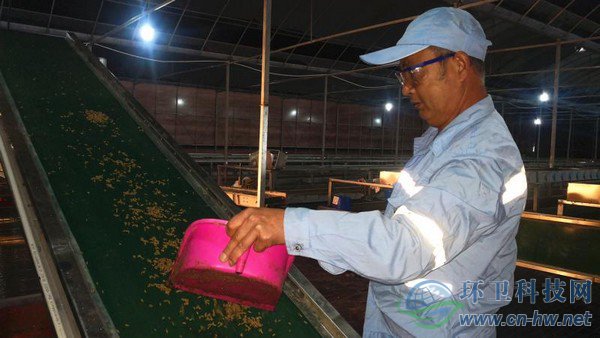 經(jīng)過篩選、蒸煮、烘干、粉碎后的蟲干、蟲粉，市場(chǎng)價(jià)值比蚯蚓活體高出許多 