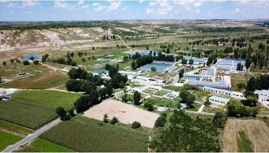 1546997563402134.png image.png