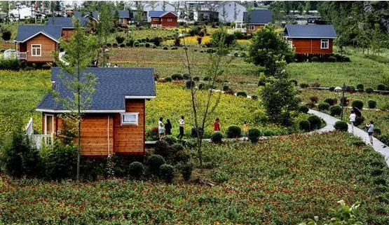 1546997726233823.png image.png