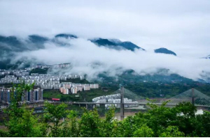 1551229835303834.png image.png