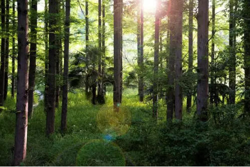 1551331586824770.png image.png