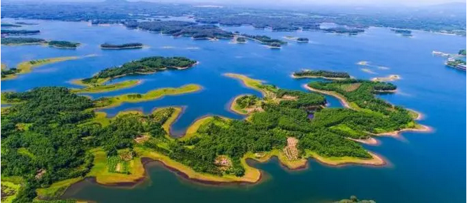 1551333739405106.png 1551333739405106.png