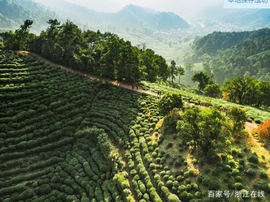 1553760996647950.png image.png