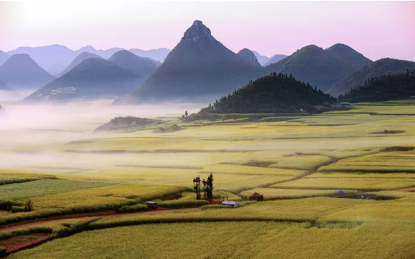 1554084635145722.png image.png