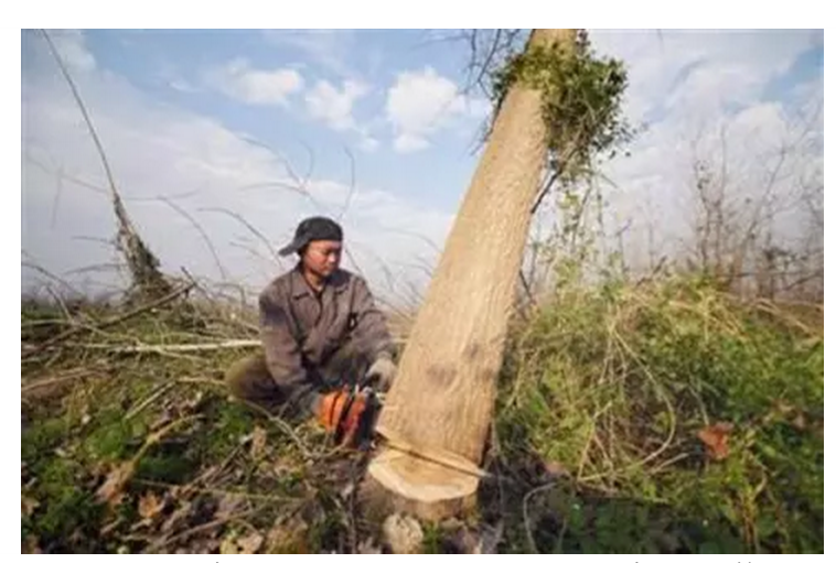 1557109830863323.png 1557109830863323.png